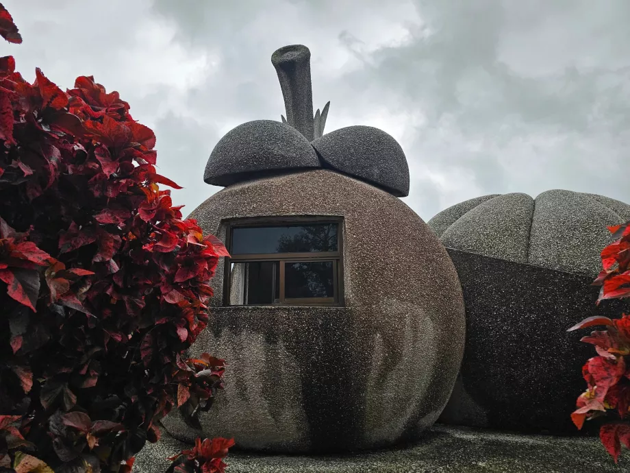 Μαγικά φρούτα πέτρας