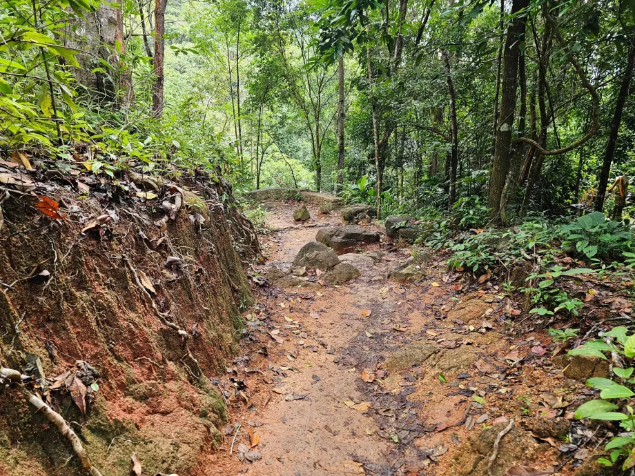 Δρόμος προς τον καταρράκτη Namuang 2