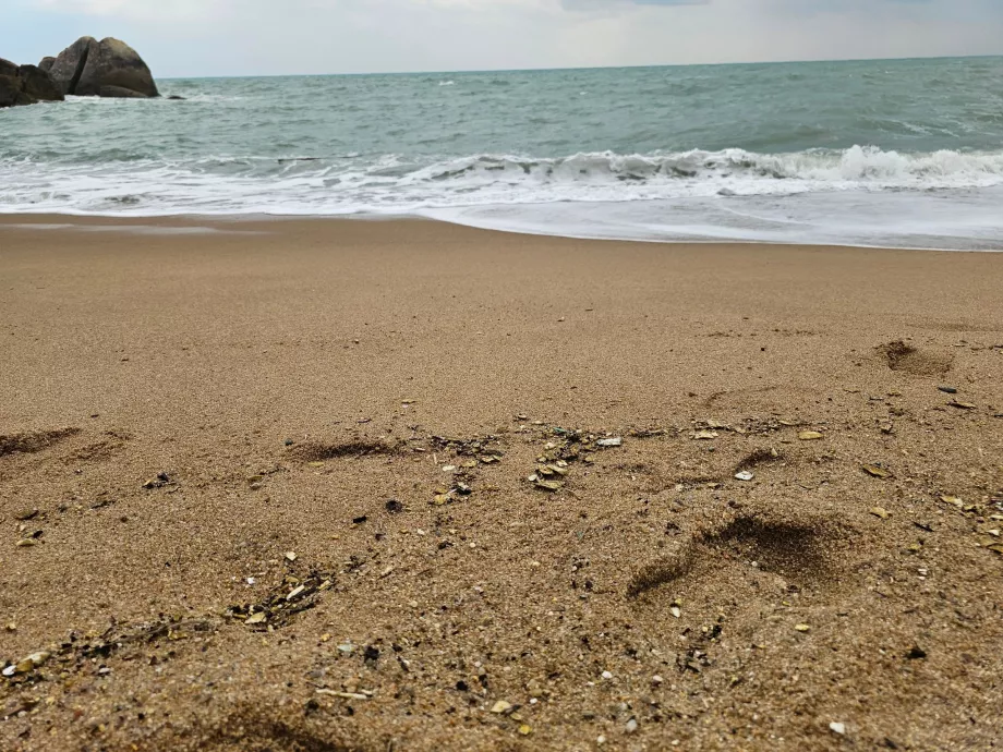 Παραλία Coral Cove, ποιότητα άμμου