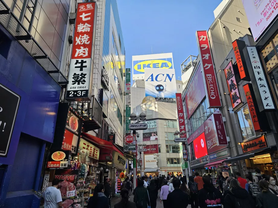 Εμπορικός δρόμος Shibuya