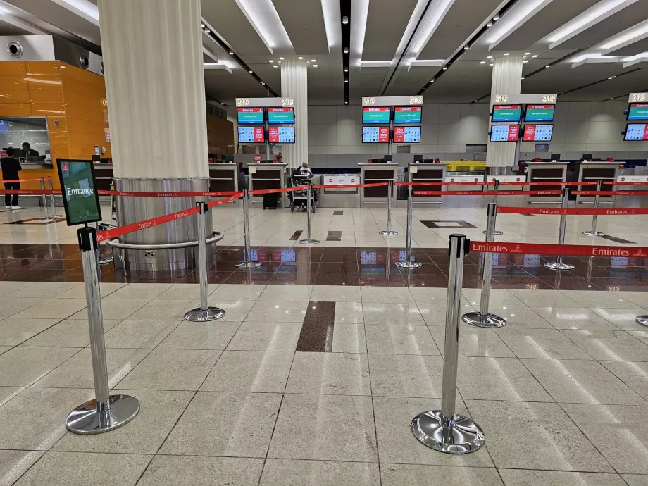 Check-in αεροδρομίου