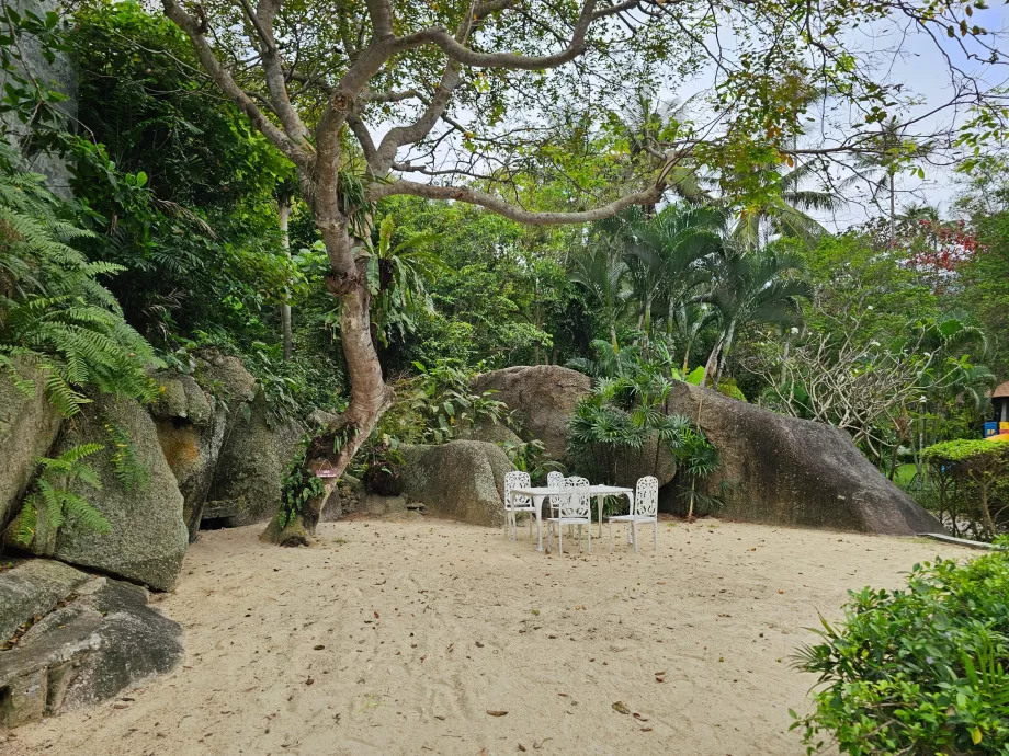 Καθισμένος στον κήπο