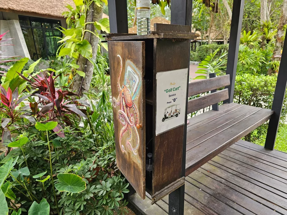 Τηλέφωνο για να καλέσετε το καρότσι του γκολφ