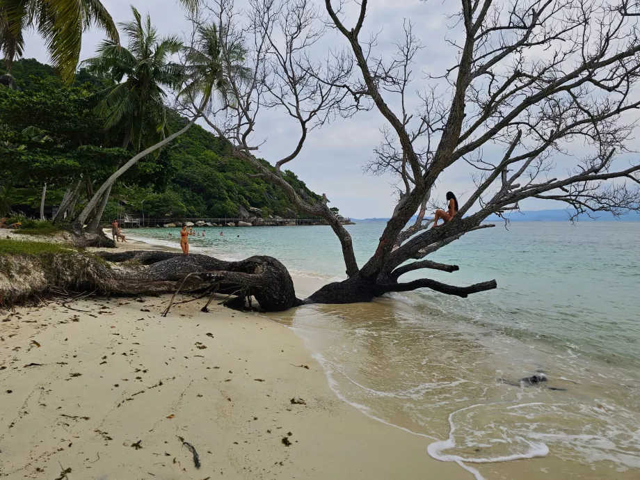 Παραλία Rin Nai