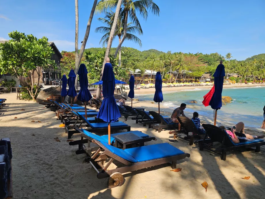 Παραλία ξενοδοχείου