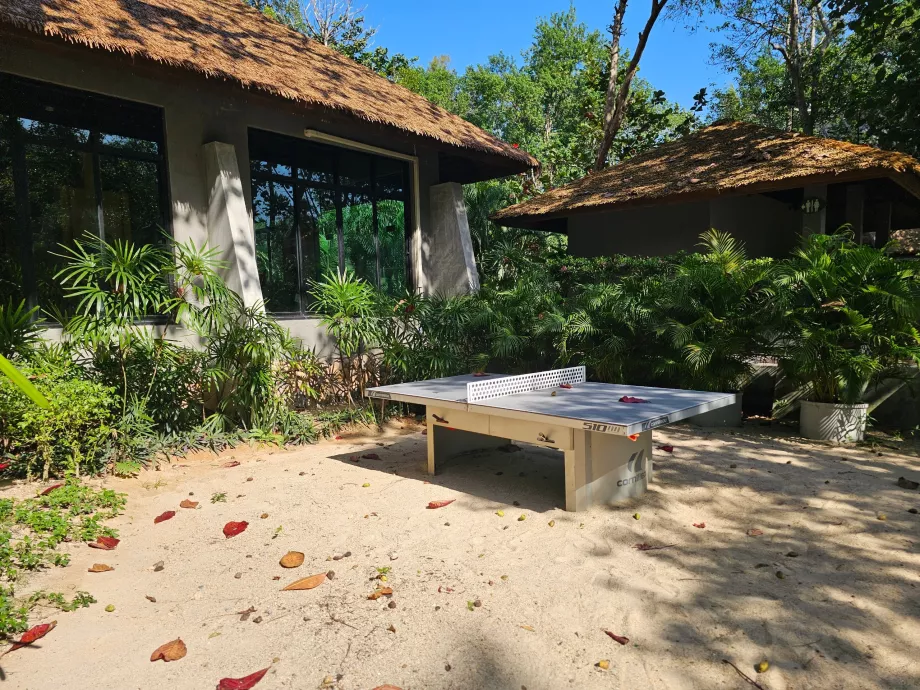 Επιτραπέζια αντισφαίριση