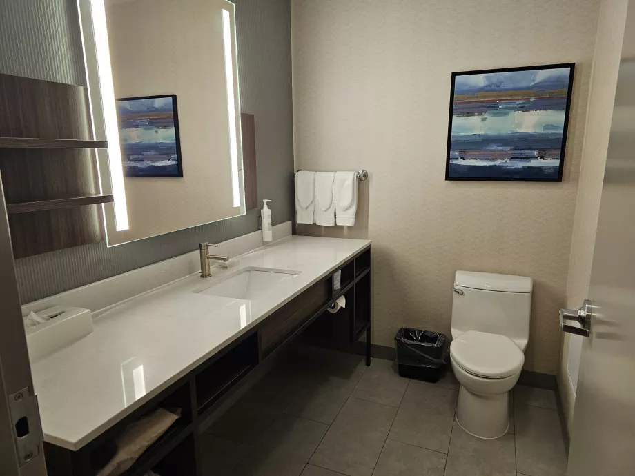 Hilton Garden Inn, μπάνιο