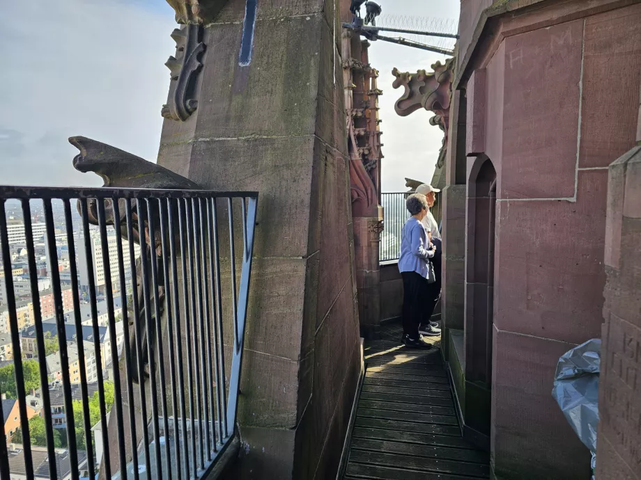 Θέα από το Domturm