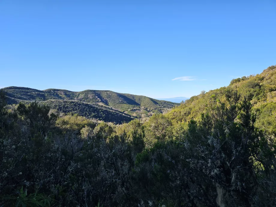 Τοπίο γύρω από τη Laguna Grande