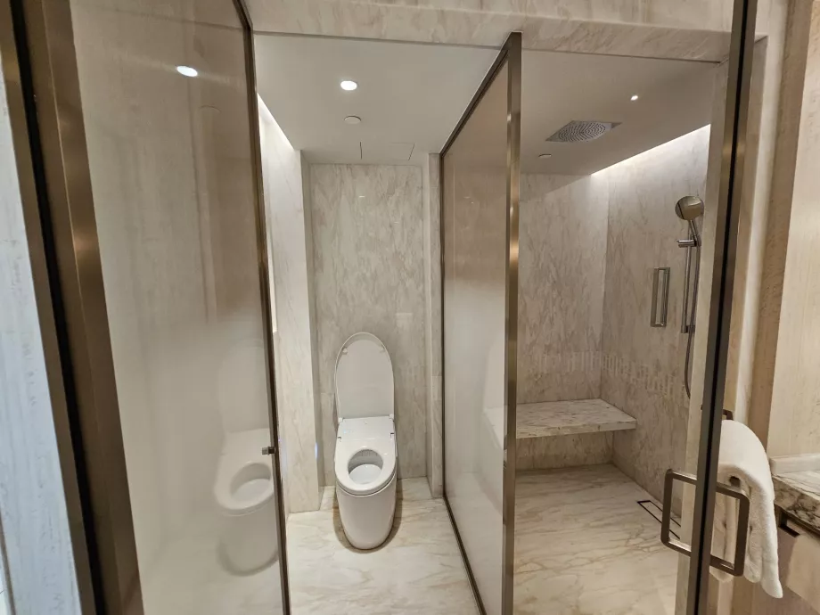 Ντους και τουαλέτα - ανοιχτή πόρτα