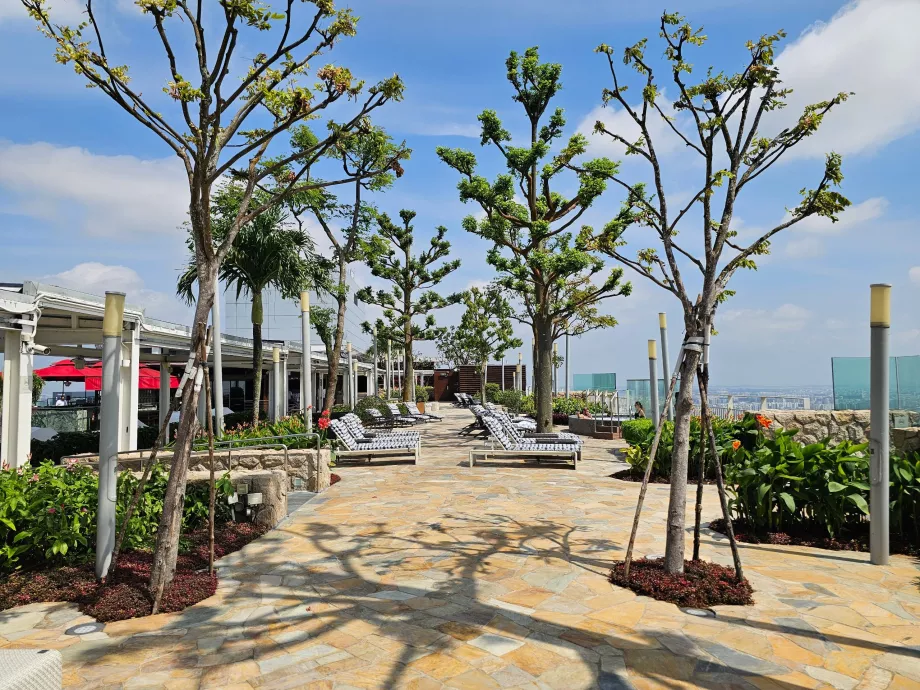 Ξαπλώστρες στην ταράτσα του MBS Hotel