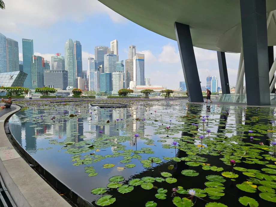 Μουσείο ArtScience