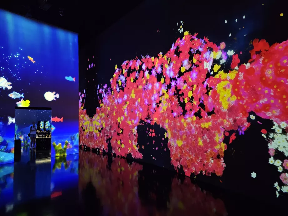 Μουσείο ArtScience