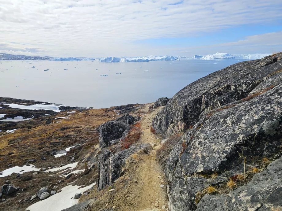 Πεζοπορία κατά μήκος του Icefiord