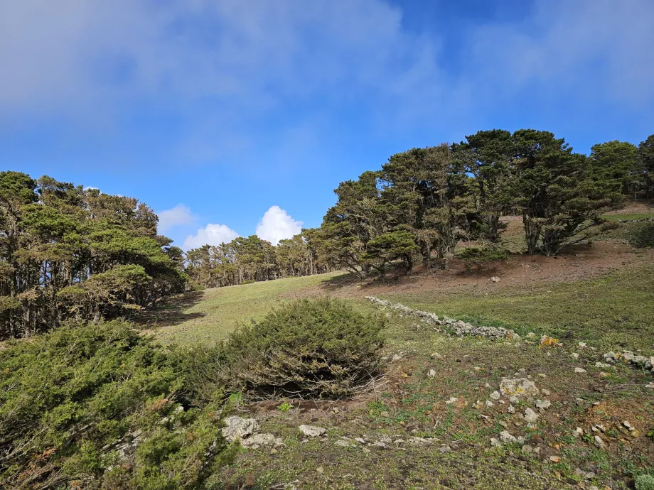 Δυτικά El Hierro