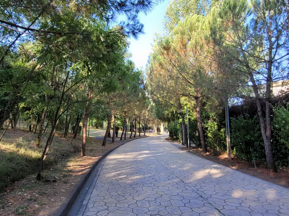 Μεγάλο πάρκο