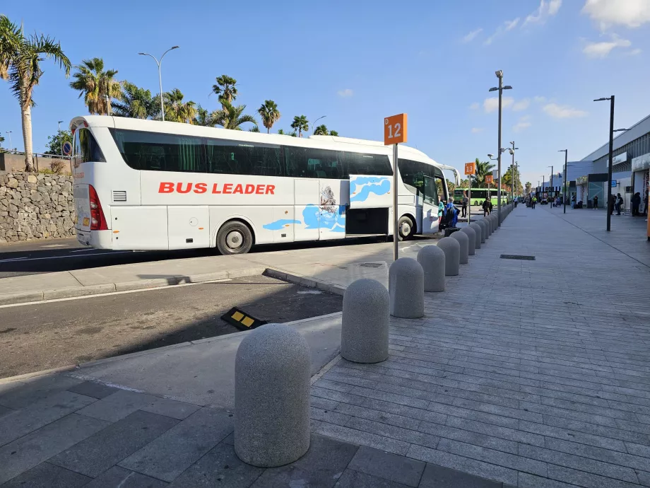 Τουριστικά λεωφορεία