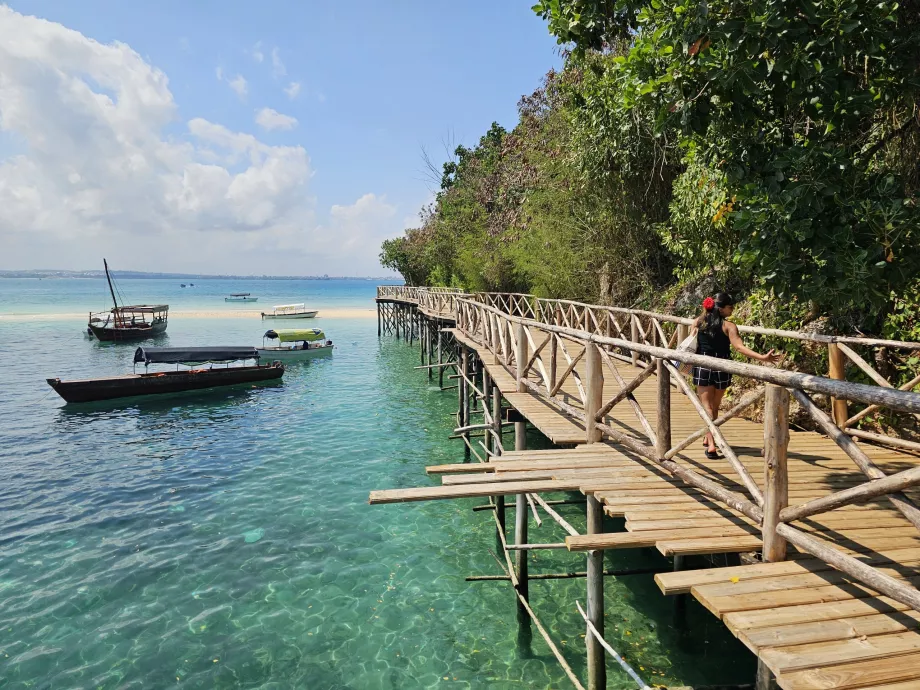 Prison Island, άφιξη