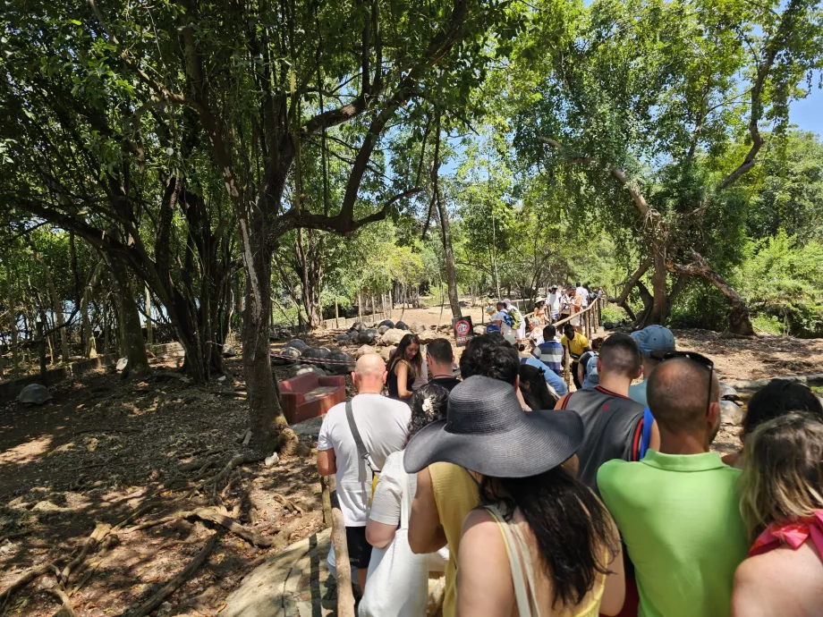 Prison Island, ένα μονοπάτι μέσα από τον περίβολο των γιγάντιων χελωνών