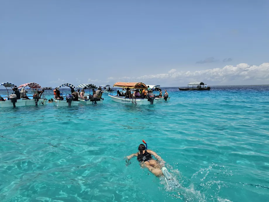 Snorkeling κοντά στην ατόλη Mnemba