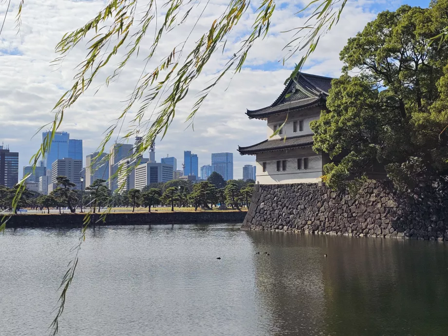 Ανατολικός Κήπος