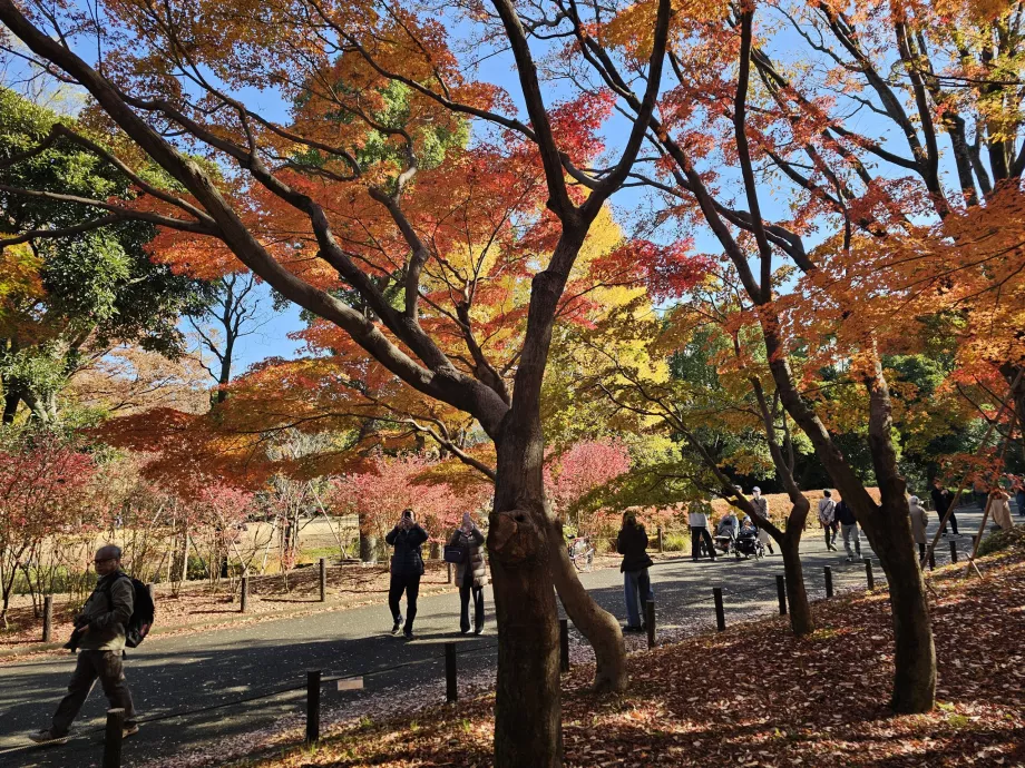 Πάρκο Kitanomaru