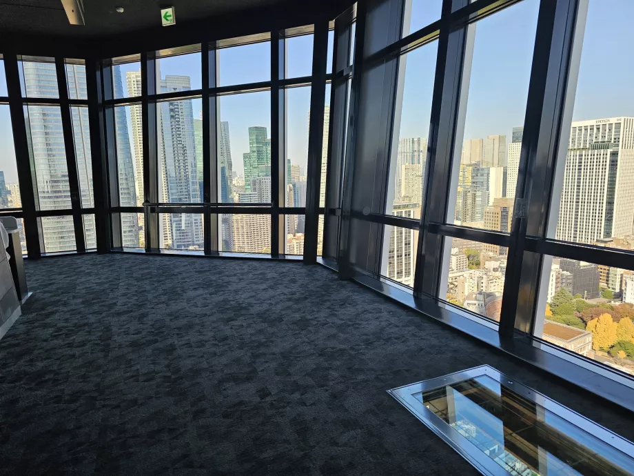 Κύρια πλατφόρμα παρατήρησης