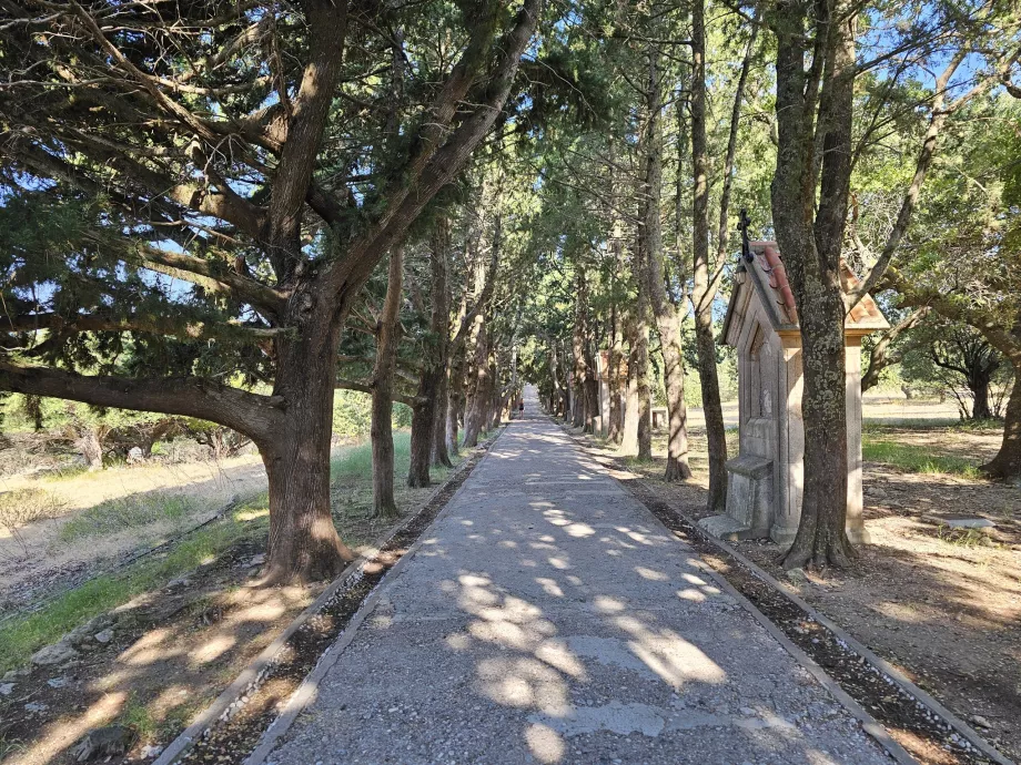 Λεωφόρος Φιλέρημος