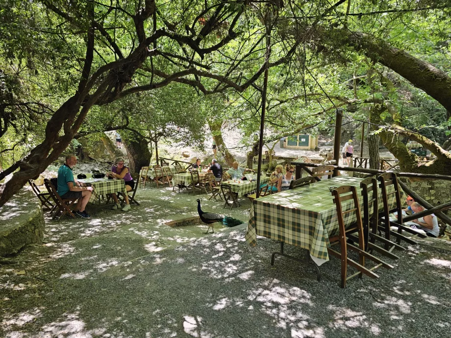 Εστιατόριο στο Seven Springs
