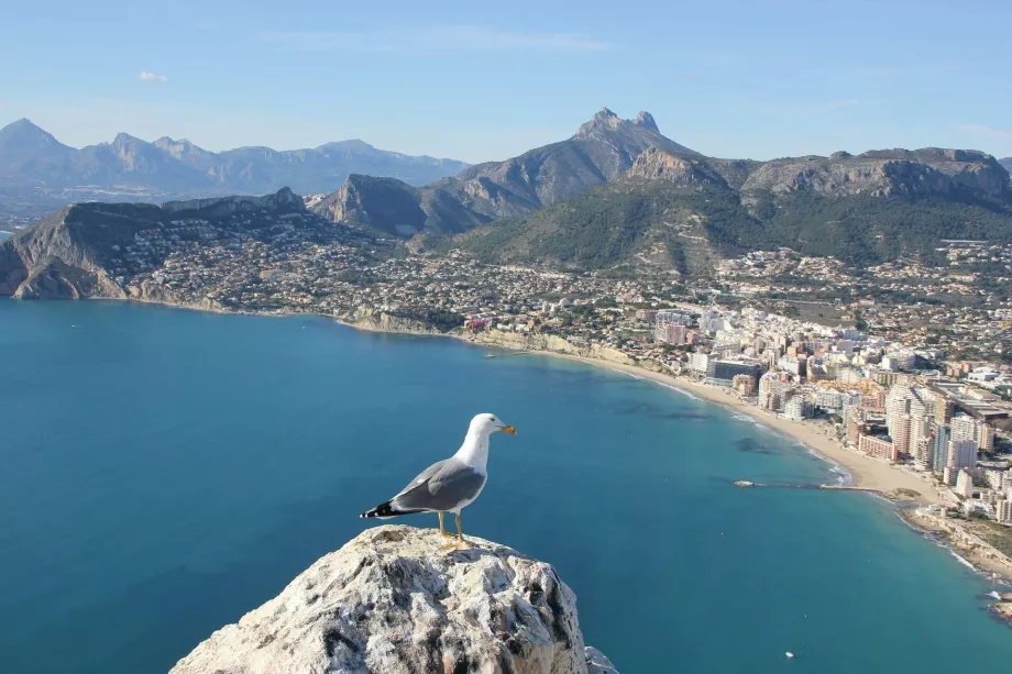 Calp, Αλικάντε