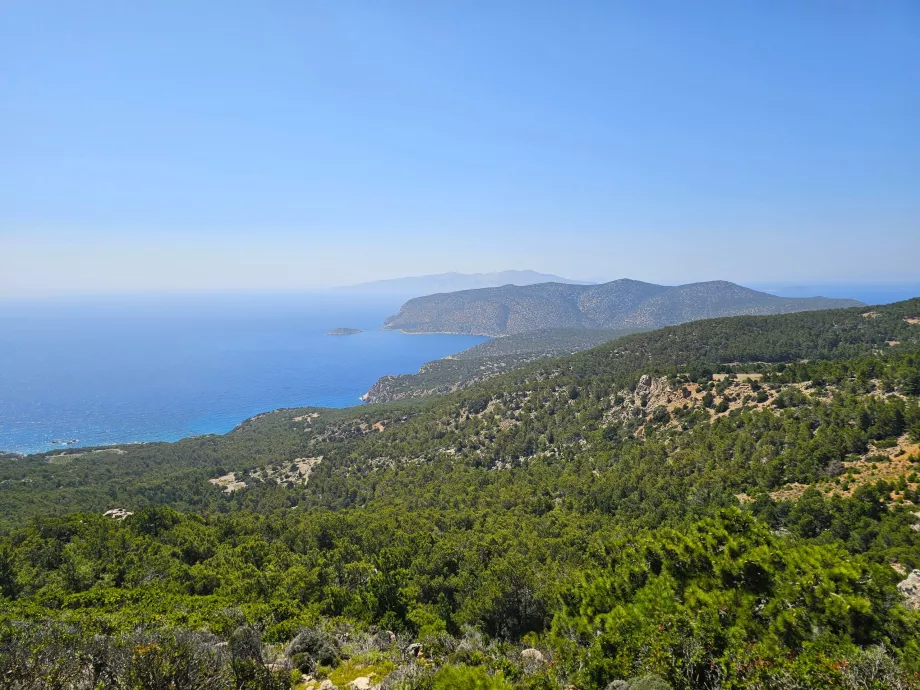 Δυτική Ακτή, Μονόλιθος