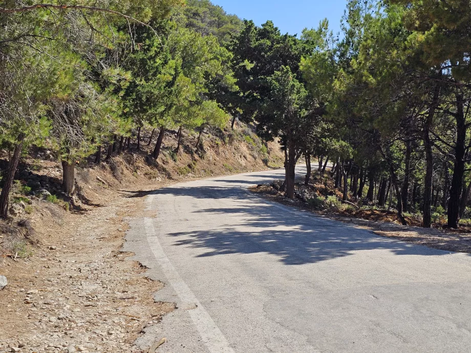 Παράπλευροι δρόμοι