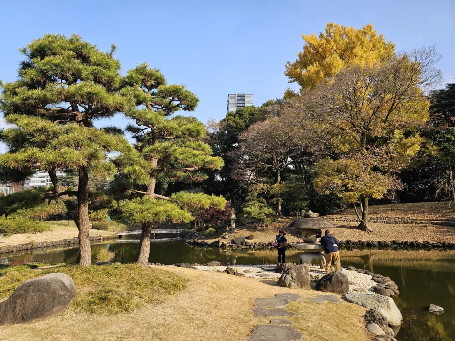 Εθνικός κήπος Shinjuku Gyoen