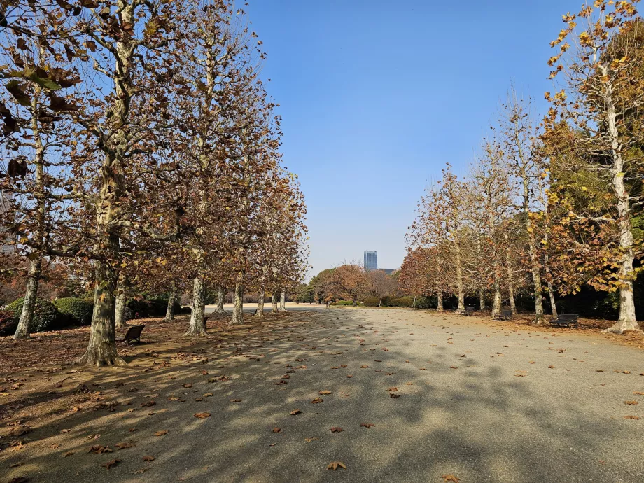 Εθνικός κήπος Shinjuku Gyoen