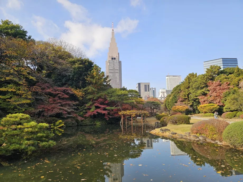 Εθνικός κήπος Shinjuku Gyoen