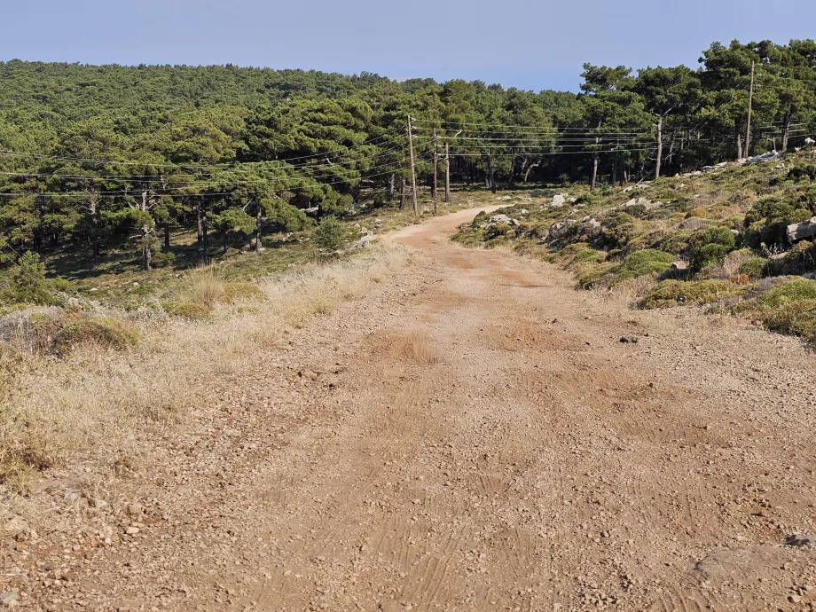 Ο δρόμος προς το όρος Αταβύρος