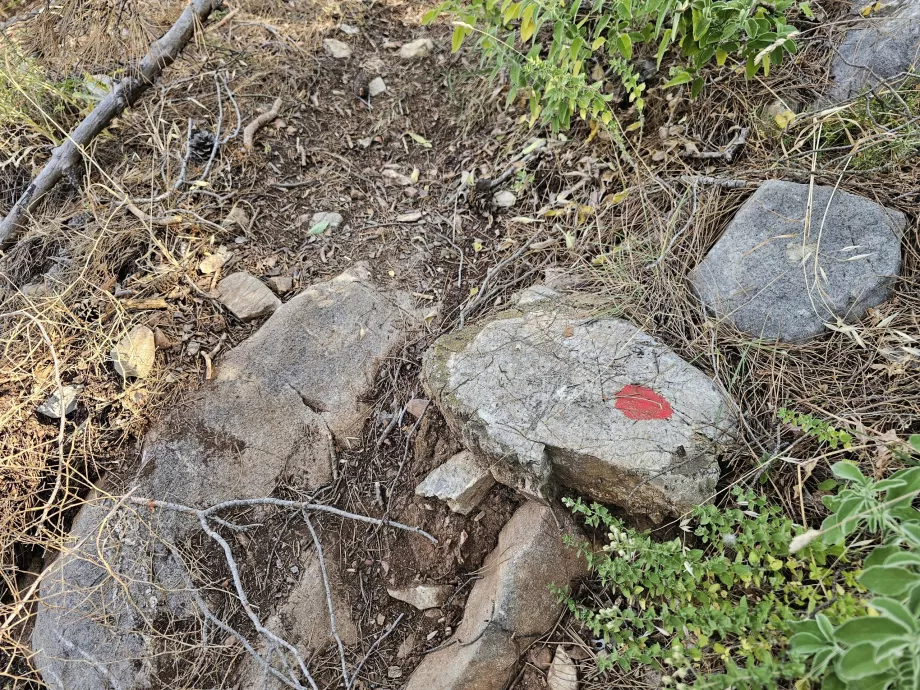 Τουρισμός Ρόδος