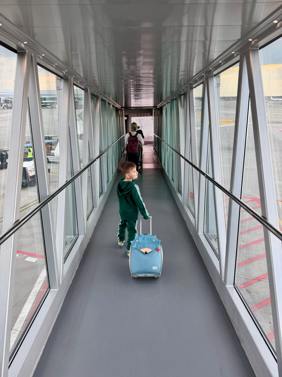 Επιβίβαση στην πτήση