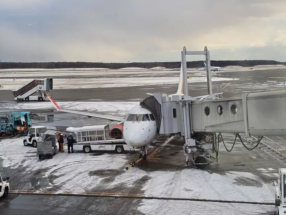 Λευκό αεροπλάνο FDA