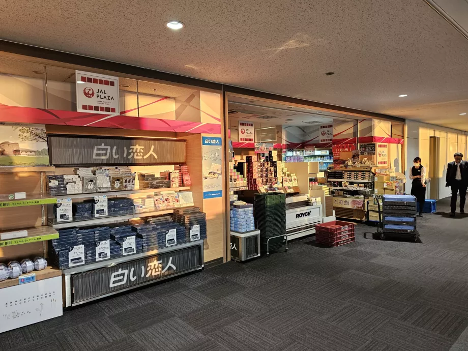 Minimarket JAL Plaza, εγχώρια ζώνη διέλευσης