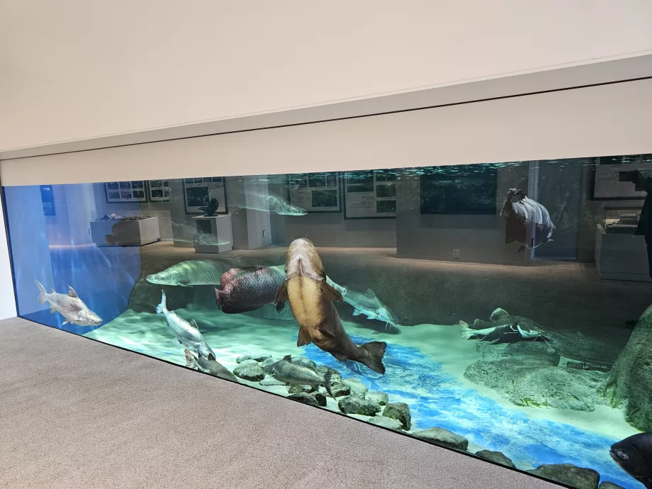 Άθροισμα του Seaworld