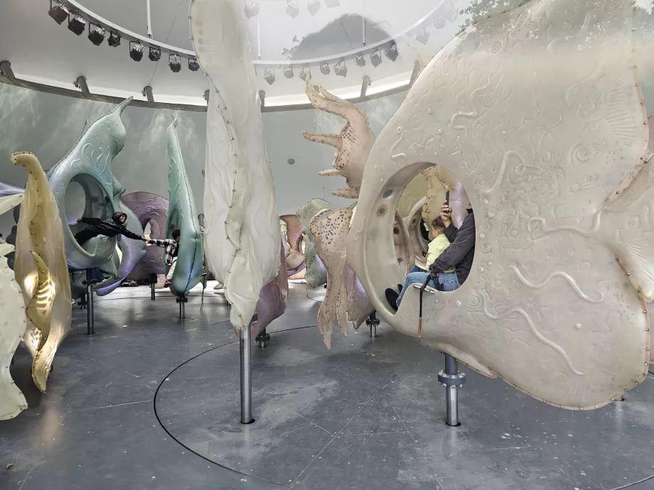 Καρουσέλ της θάλασσας