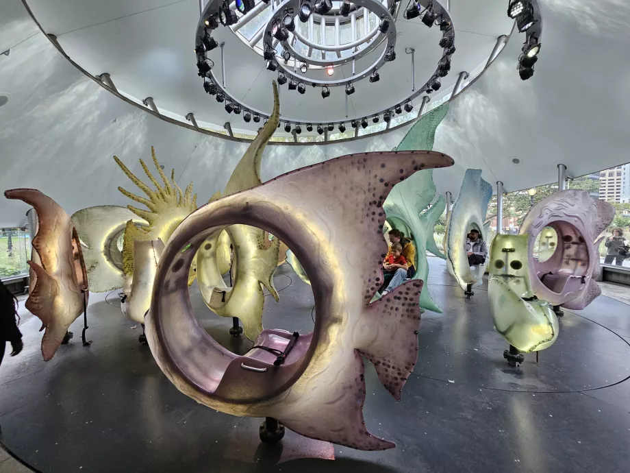 Καρουσέλ της θάλασσας