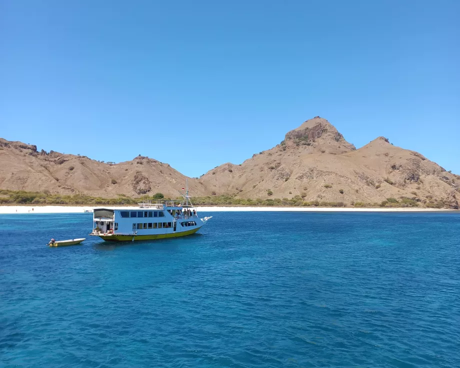 Νησί Rinca, Νησιά Κομόντο, Ινδονησία