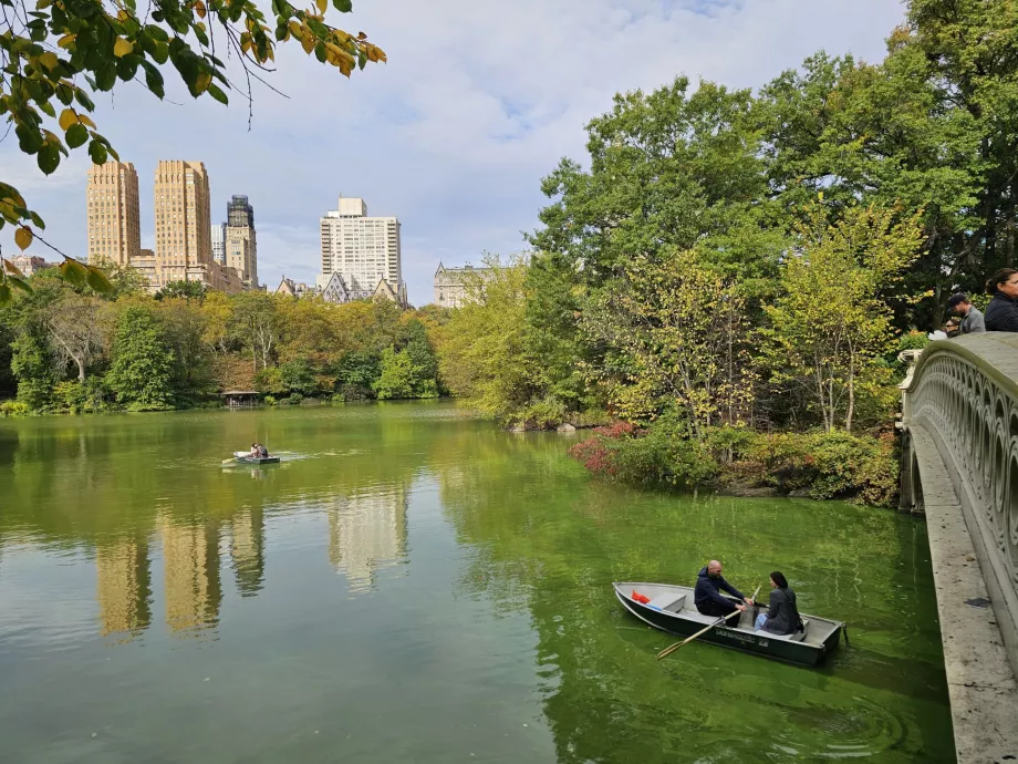 Γέφυρα Τόξου