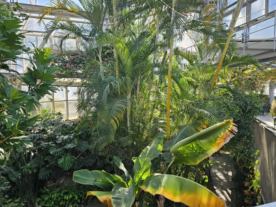 Θερμοκήπιο στους κήπους βοτάνων Nunobiki