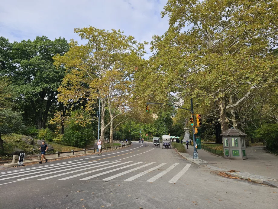 Κεντρικό πάρκο