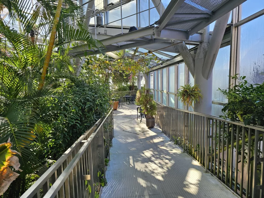 Θερμοκήπιο στους κήπους βοτάνων Nunobiki