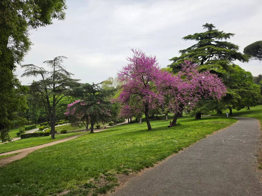 Πάρκο Villa Borghese