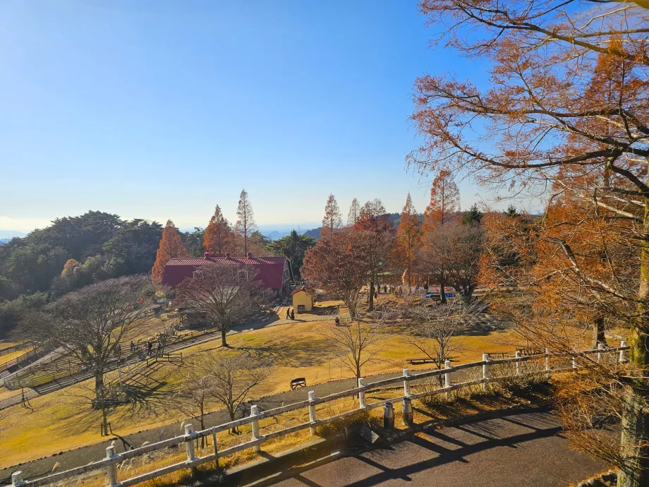 Βοσκότοπος Rokkosan